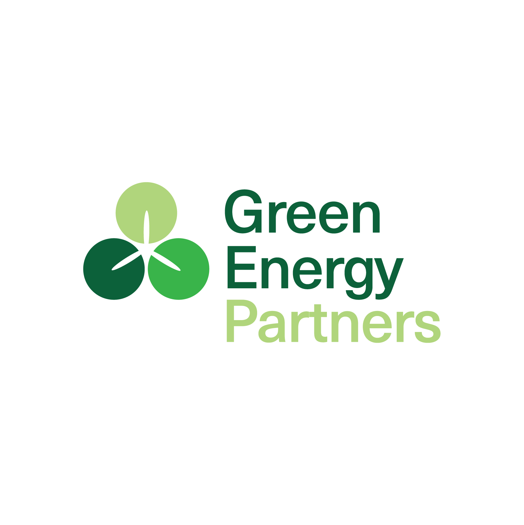 The Role of Partnerships in Green Energy